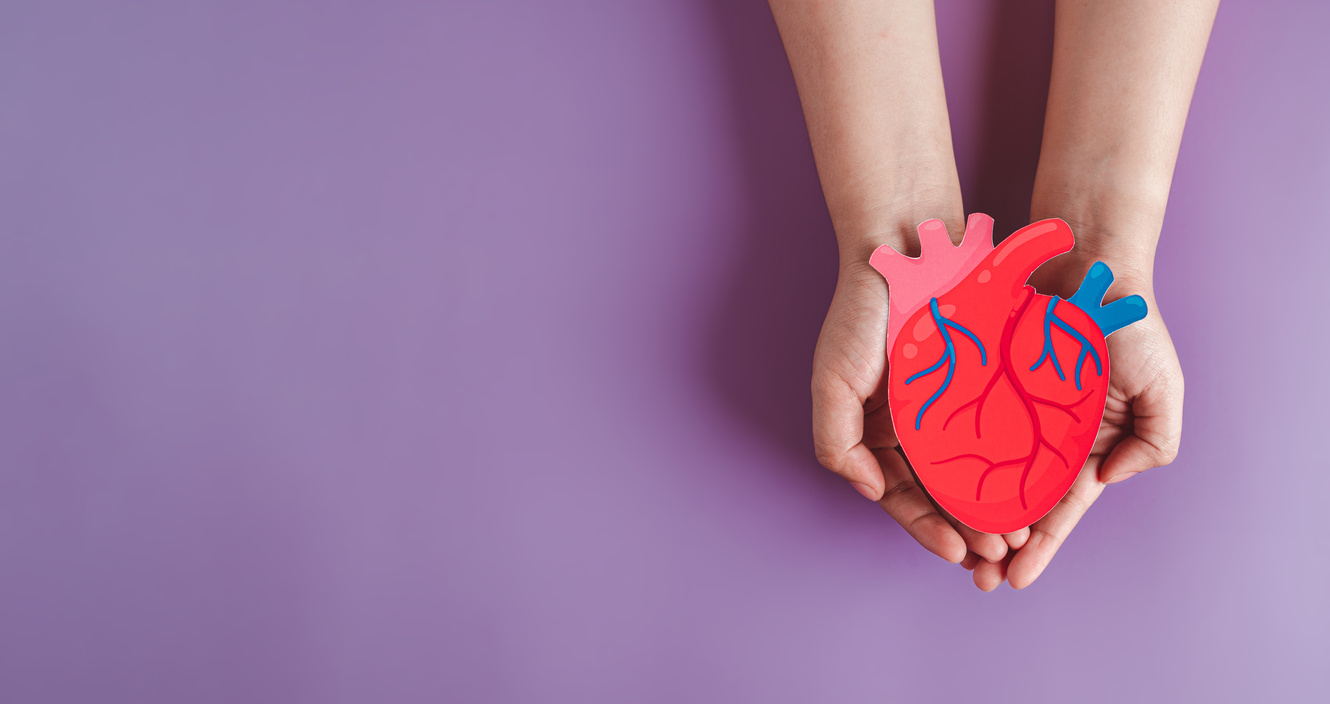 hands holding heart organ paper cut, heart anatomy, heart attack